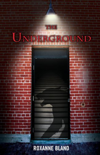 9780615563343: The Underground
