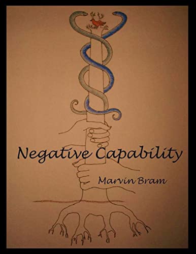 Imagen de archivo de Negative Capability a la venta por Ergodebooks