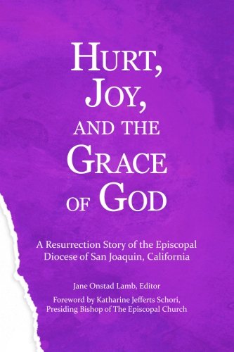 Beispielbild fr Hurt, Joy and the Grace of God: A Resurrection Story of the Episcopal Diocese of San Joaquin, California zum Verkauf von -OnTimeBooks-
