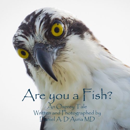 Beispielbild fr Are You a Fish?: An Osprey Tale zum Verkauf von Goodwill Books