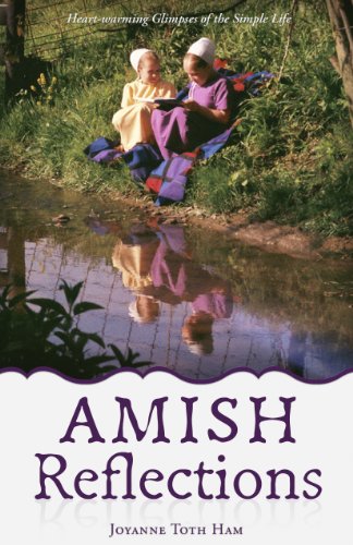 Stock image for Amish Reflections for sale by SecondSale