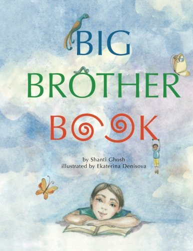 Imagen de archivo de Big Brother Book a la venta por Gulf Coast Books