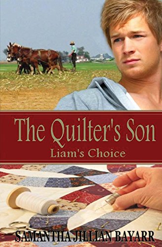 Stock image for The Quilter's Son for sale by SecondSale