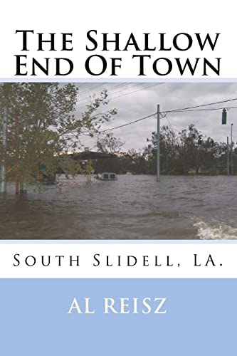 9780615691176: The Shallow End Of Town