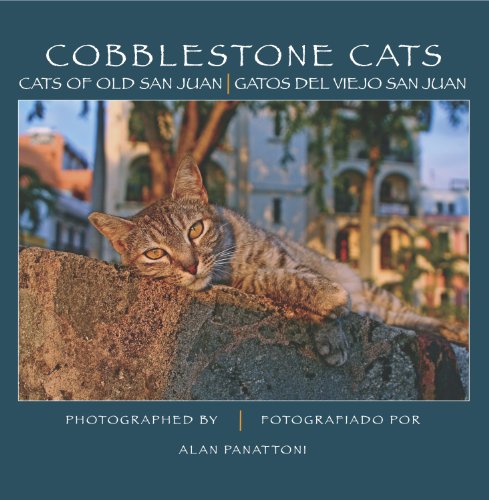 Beispielbild fr Cobblestone Cats: Cats of Old San Juan zum Verkauf von HPB-Diamond