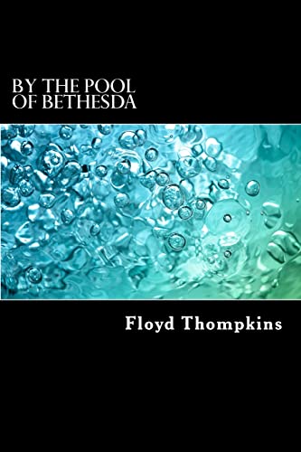 Stock image for By the Pool of Bethesda: Biblical Meditations on Long-term Illness and Terminal Diagnoses for sale by ThriftBooks-Dallas