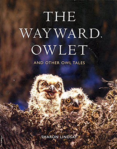 Beispielbild fr The Wayward Owlet zum Verkauf von First Coast Books