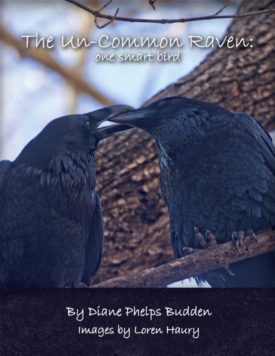 Beispielbild fr The Un-Common Raven: one smart bird zum Verkauf von BooksRun