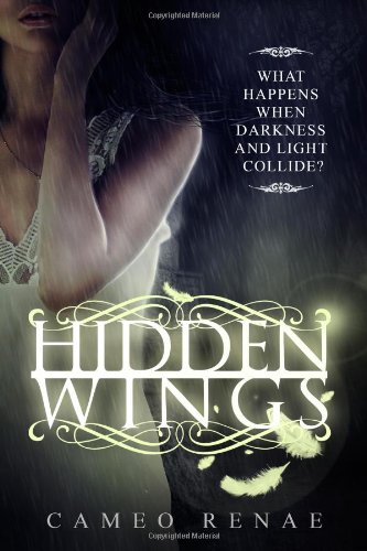 9780615757384: Hidden Wings