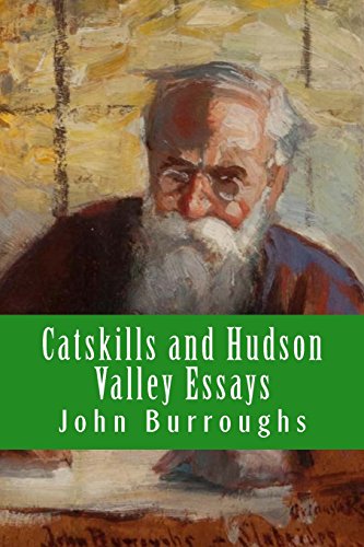 Imagen de archivo de Catskills and Hudson Valley Essays a la venta por Best and Fastest Books