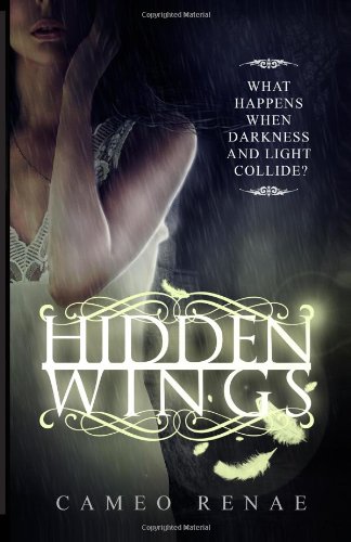 9780615773780: Hidden Wings