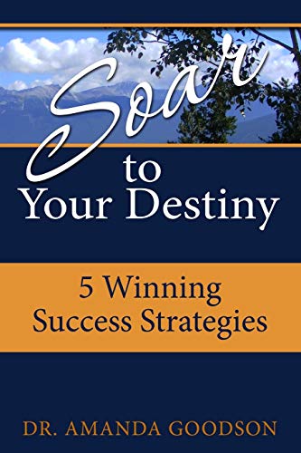 Stock image for Soar to Your Destiny: Winning Success Strategies for sale by Lucky's Textbooks