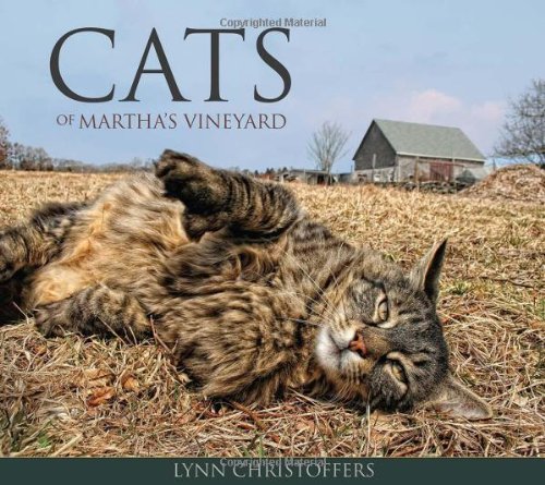 Stock image for Cats of Martha's Vineyard for sale by Wonder Book