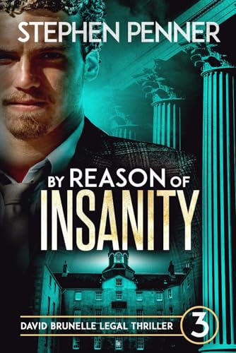 Imagen de archivo de By Reason of Insanity: David Brunelle Legal Thriller #3 (david brunelle legal thrillers) a la venta por -OnTimeBooks-