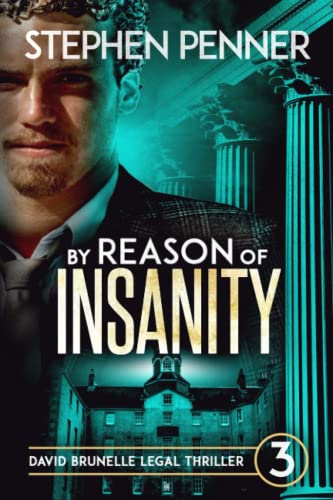 Stock image for By Reason of Insanity: David Brunelle Legal Thriller #3 (david brunelle legal thrillers) for sale by -OnTimeBooks-