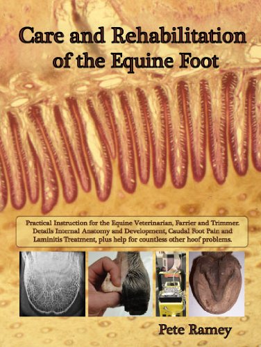 9780615878072: Care and Rehabilitation of the Equine Foot