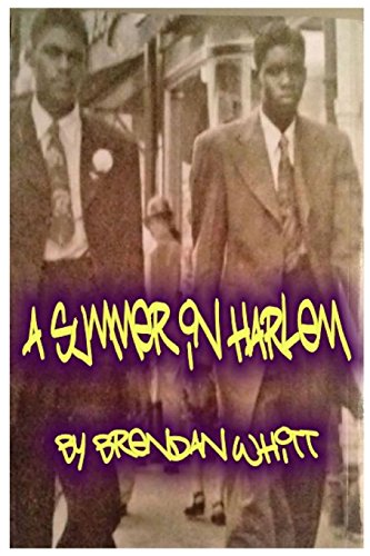 9780615883403: A Summer In Harlem