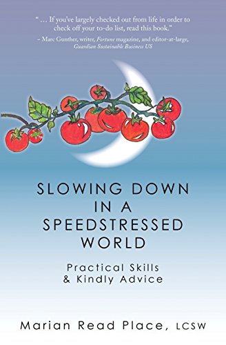 9780615893037: Slowing Down in a Speedstressed World: Practical Skills & Kindly Advice