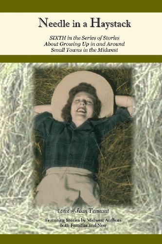 Imagen de archivo de Needle in a Haystack: Sixth in the Series of Stories About Life . a la venta por Lucky's Textbooks