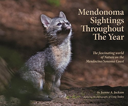 Stock image for Mendonoma Sightings Throughout the Year: The Fascinating World of Nature on the Mendocino/Sonoma Coast for sale by HPB-Ruby