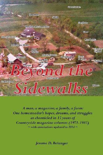 Stock image for Beyond the Sidewalks for sale by HPB-Red