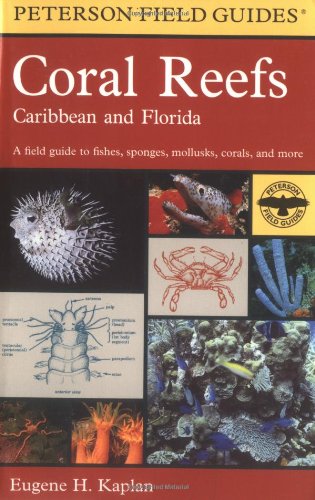 Stock image for A Field Guide to Coral Reefs: Caribbean and Florida for sale by ThriftBooks-Atlanta