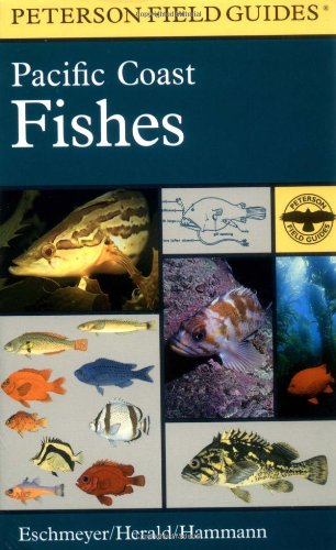 Stock image for A Field Guide to Pacific Coast Fishes : North America (Peterson Field Guides) for sale by KuleliBooks