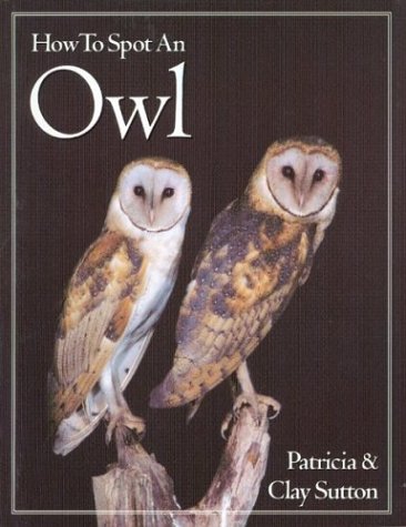 Imagen de archivo de How to Spot an Owl (The How to Spot Series) a la venta por Books of the Smoky Mountains