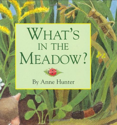 Beispielbild fr What's in the Meadow? zum Verkauf von Wonder Book