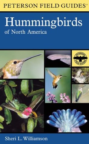 Stock image for A Field Guide to Hummingbirds of North America for sale by ThriftBooks-Atlanta