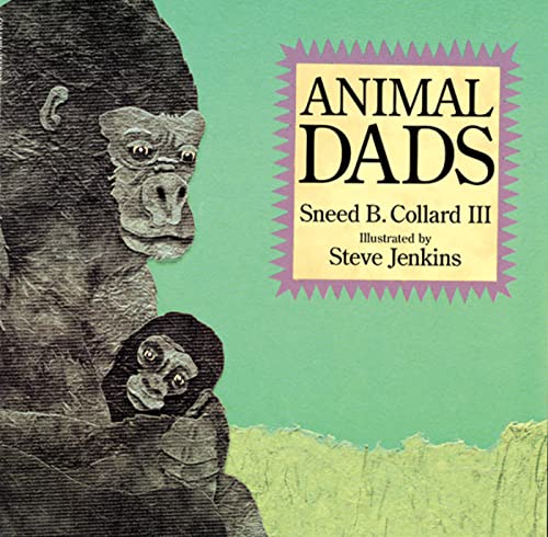 9780618032990: Animal Dads