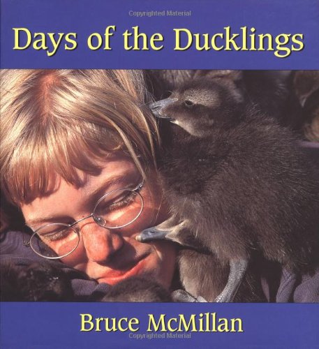 Stock image for Days of the Ducklings for sale by Granada Bookstore,            IOBA