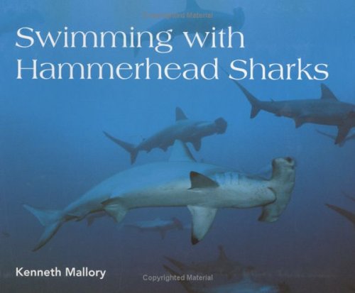9780618055432: Swimming With Hammerhead Sharks (Scientists in the Field)