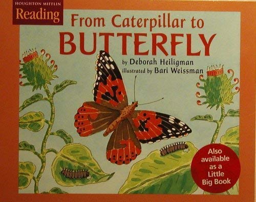 9780618067091: From Caterpillar to Butterfly (Reading)