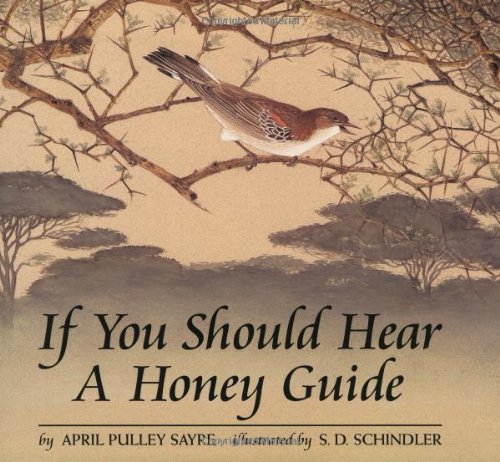 Beispielbild fr If You Should Hear a Honey Guide zum Verkauf von Better World Books