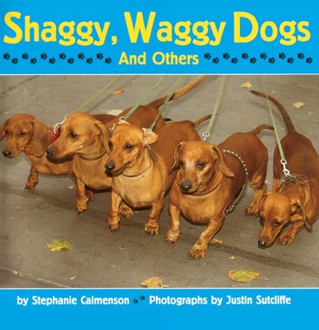 Beispielbild fr Shaggy, Waggy Dogs (And Others) zum Verkauf von Wonder Book