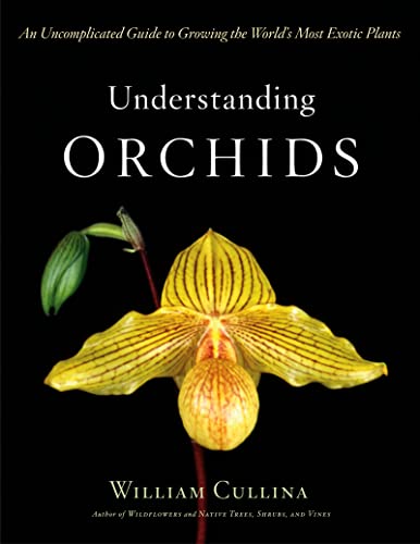 Beispielbild fr Understanding Orchids: An Uncomplicated Guide to Growing the World's Most Exotic Plants zum Verkauf von Irish Booksellers