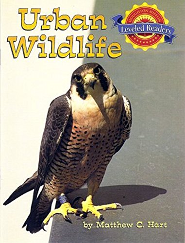 Imagen de archivo de Houghton Mifflin Reading Leveled Readers : Level 3. 4. 1 ABV LV Urban Wildlife a la venta por Better World Books: West
