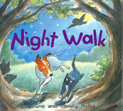 Beispielbild fr Night Walk zum Verkauf von Half Price Books Inc.