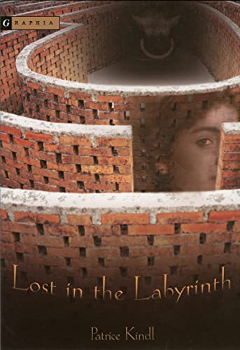 Beispielbild fr Lost in the Labyrinth zum Verkauf von Wonder Book