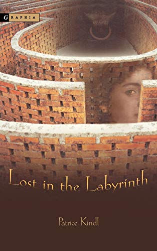 Stock image for Lost in the Labyrinth for sale by Wonder Book