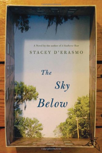 Beispielbild fr The Sky Below zum Verkauf von Wonder Book