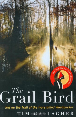 Beispielbild fr The Grail Bird : Hot on the Trail of the Ivory-Billed Woodpecker zum Verkauf von Better World Books