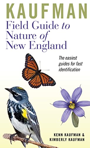 Stock image for Kaufman Field Guide To Nature Of New England (Kaufman Field Guides) for sale by Front Cover Books