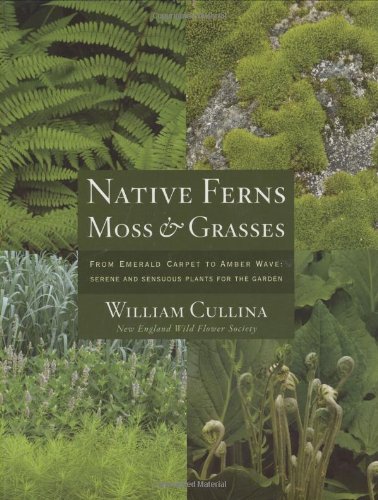 9780618531189: Native Ferns, Moss & Grasses