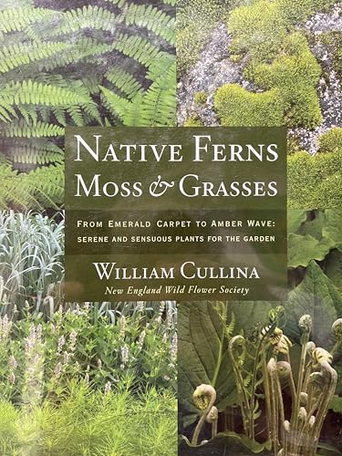 Native Ferns, Moss, and Grasses: From Emerald Carpet to Amber Wave, Serene and Sensuous Plants fo...