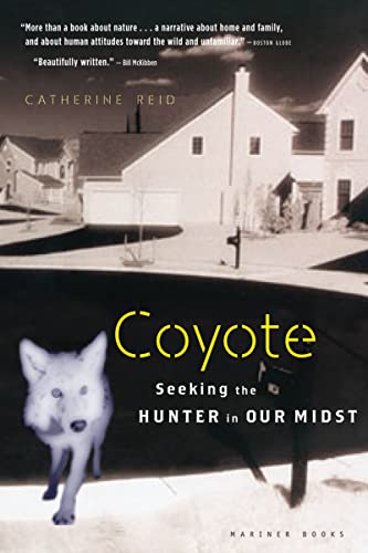 9780618619290: Coyote: Seeking the Hunter in Our Midst