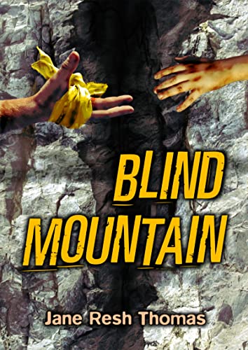 Beispielbild fr Blind Mountain zum Verkauf von More Than Words
