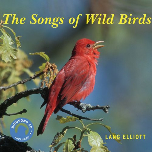 Beispielbild fr The Songs of Wild Birds zum Verkauf von Front Cover Books