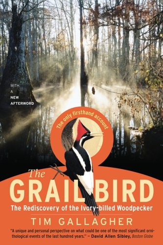 Beispielbild fr The Grail Bird : The Rediscovery of the Ivory-Billed Woodpecker zum Verkauf von Better World Books